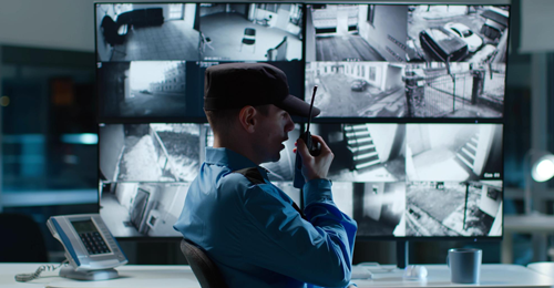 seguridad_videovigilancia